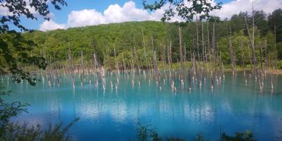 初夏の夫婦旅　2022　北海道