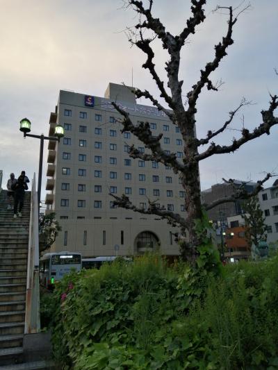 コンフォートホテル堺に宿泊　その1