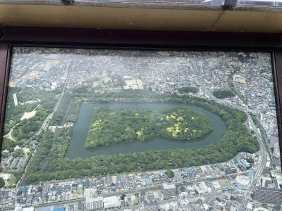 はじめての堺市！仁徳天皇陵→堺市市役所→堺東商店街→東雲薔薇園→ミュシャ美術館