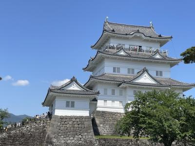 GWふらっと小田原の旅。お城めぐりは小田原城