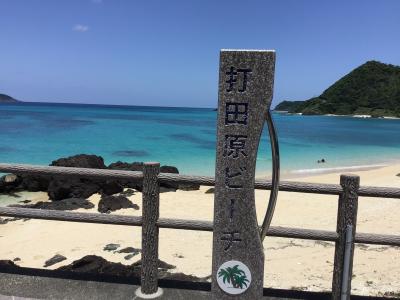２０２３　5月　シルバー夫婦の春合宿は奄美大島アイドルのウミガメとシュノーケル。