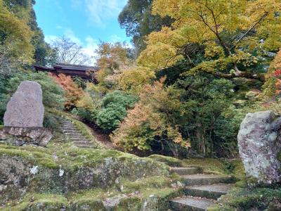 うさぎとカニと紅葉と　11月の石川3泊4日旅行（3.4日目:那谷寺・金沢編）