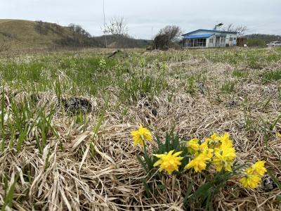 GW北海道、映画ハナミズキ、公開１３年後のロケ地巡り（釧路、白糠）