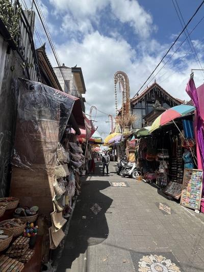 2023年1月・バリ島 友情と美味しい物の旅 その2