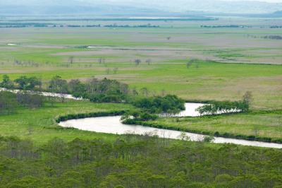 釧路/根室/中標津ぐるり旅【2】~原始的な姿を残す日本最大の湿原~釧路湿原②(細岡展望台)