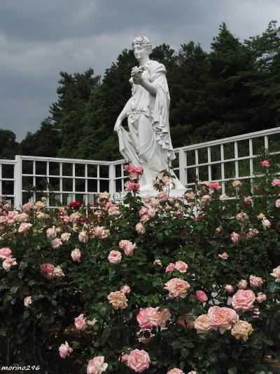 2023 秘密の花園で春のバラを楽しむ＠生田緑地ばら苑