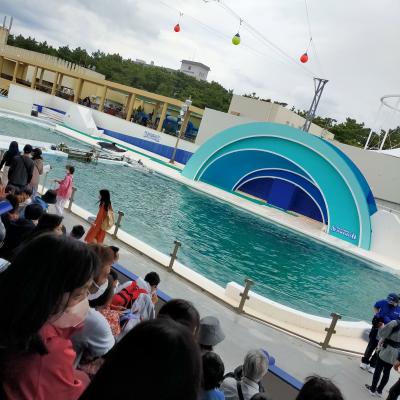 日帰りで東京発の鴨川シーワールドへ