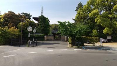 地の塩とは永遠の命か 竹之内街道から秋篠川と平城旧跡をサイクリング