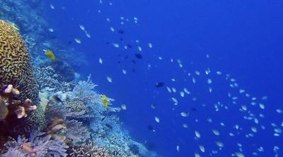 タイさんのインドネシアの旅24日目(2023/5/12) スラウエシ島 マナドからブナケンへ