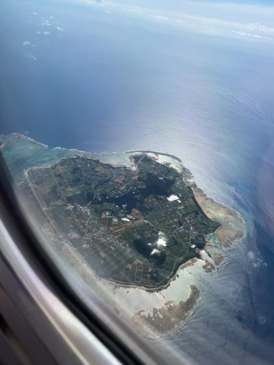 2日連続、空港タッチだけの沖縄日帰りの旅