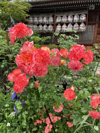 水都、大垣まつり 良い街代表(岐阜県大垣市)