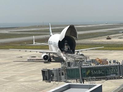 兵庫県訪問記 番外編「神戸空港にベルーガ（シロイルカ）がやってきた」A300-600ST来航