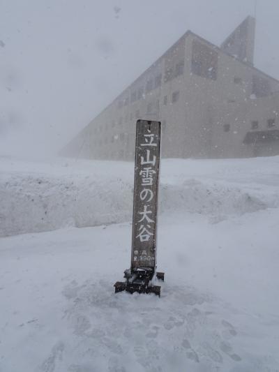 富山旅行 ～立山黒部アルペンルート～ ２日目