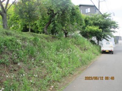 流山市の駒木・上野牧野馬土手・駒木諏訪神社裏