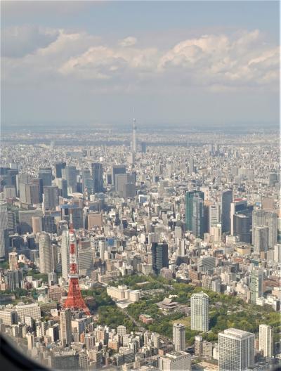 北海道・道東春３日間（６）釧路湿原、釧路空港～羽田空港