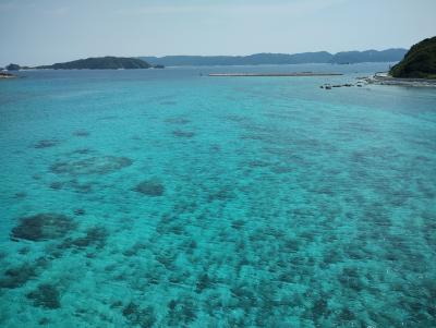 今年初の阿嘉島へ6日間～3日目　同宿泊のTさん、Iさんを島内散策にご案内