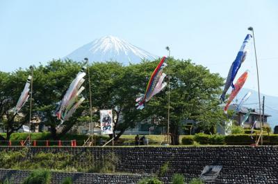 潤井川河原を散歩しながら見えた鯉のぼりと富士山 2023.05.05