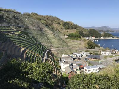 四国のご当地グルメを味わう（伊予編）