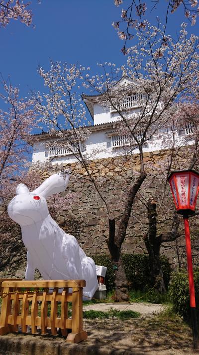 津山城跡はまるで桜の雲海！ホテル作州武蔵でリピ宿泊してきた！