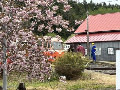 青森　いつものところ新しいところ