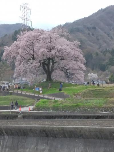 山梨の旅　八ヶ岳のオールインクルーシブの宿に泊まる