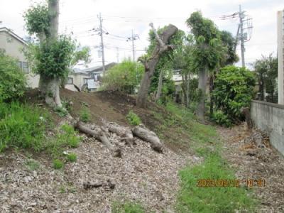 柏市の吉野沢・上野牧野馬土手・イオンモール向