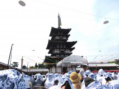 春の薬師寺へ　見えたのは手拭いを被った人の頭だけ(/ω＼)