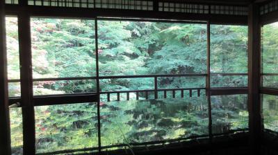 エクシブ八瀬離宮と青もみじ巡り