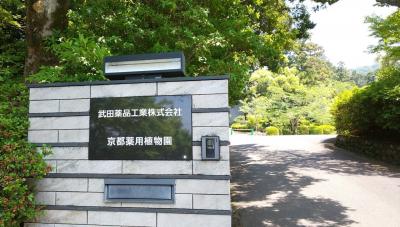 武田薬品工業 薬用植物園 初夏の特別見学会