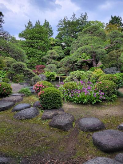 柴又でお散歩