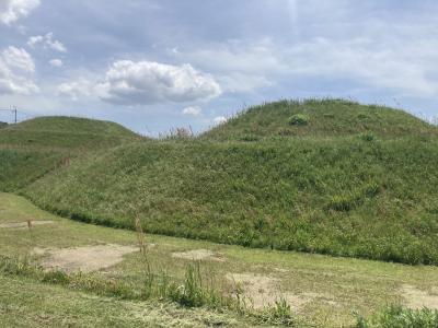 おばあちゃん、愛車ミニベロで金山古墳に行って来ました!