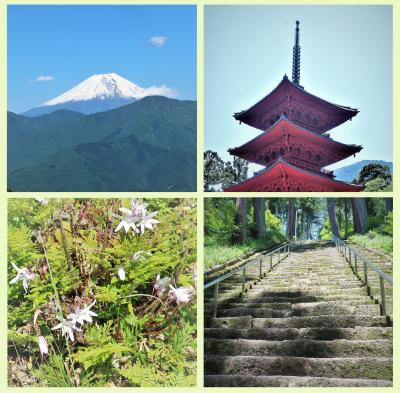 ☆初めての身延山☆　高速バスで日帰り！　前編