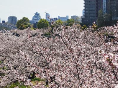 2023年の桜を楽しむ広島大阪旅行（2）桜ノ宮・夙川と南千里