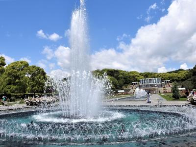 ２０２３年５月、須磨離宮公園のバラの鑑賞、そして新西国三十三霊場 寶積山能福寺を参拝します！