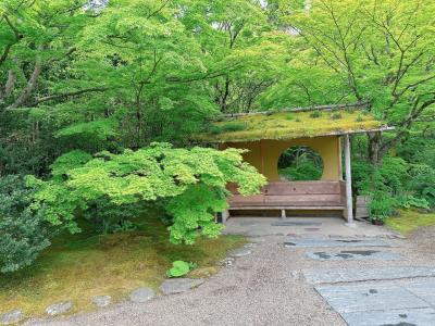 株主優待を使っておひとりさま新幹線旅＊松島観光編＊