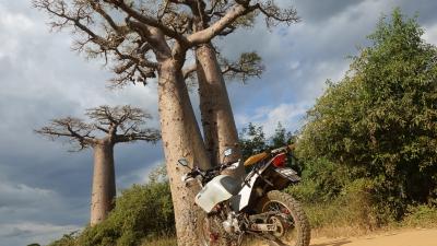 マダガスカル バイクツーリング　④めざせバオバブ街道！　ミアントリバゾ～モロンダバ