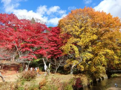 みごとな紅葉。五色沼と大内宿。あわまんじゅうがおいしい①