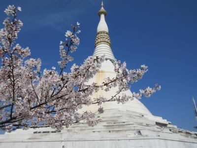 14番常楽寺･15番國分寺･眉山公園･阿波おどり会館･からくり時計☆四国お遍路ドライブ2023年春⑤-1