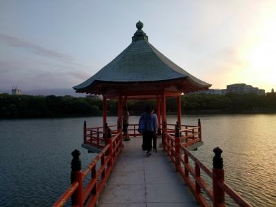 マグロ料理を満喫して夜の大濠公園を散策しました(*^0^*)