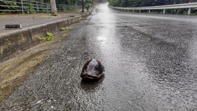 西表202305(ウラ釣旅)