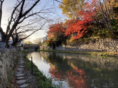 紅葉満喫　滋賀一泊二日（ちょこっとだけ京都）：二日目