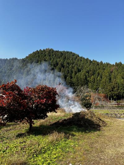 越前一乗谷を歩く