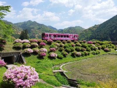 中国地方＆四国の旅～４日目　岩国～B級スポット　地底王国美川ムーバレー