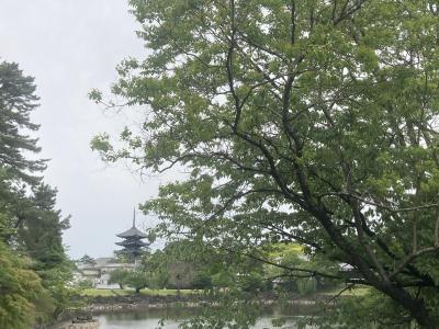 2023年5月　新緑の奈良１泊２日（奈良ホテル、依水園、吉城園など）