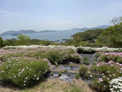 天空の花畑～香川県内・気になるスポット巡りの旅
