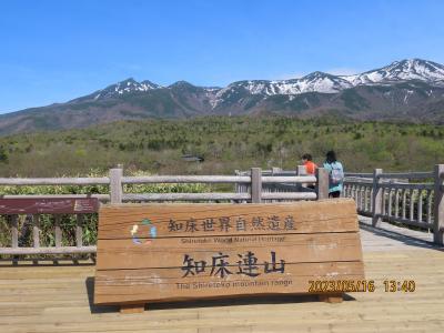 四度目の北海道旅行④ひがしもこと芝桜公園～清里～斜里～ウトロ～知床自然遺産