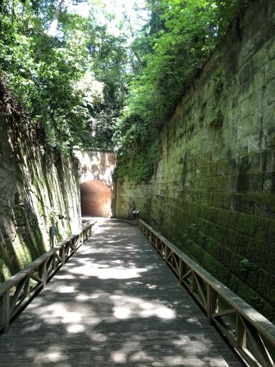 横須賀グルメと猿島