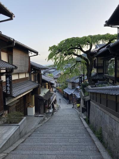 2023年春の京都⑧ "ウェスティン都ホテル～知恩院～ねねの道～二年坂～産寧坂～清水寺" を往復。京都の街歩きは早朝に限る！ 