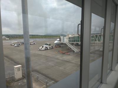 2023ANA修行13（日帰り石垣：３）