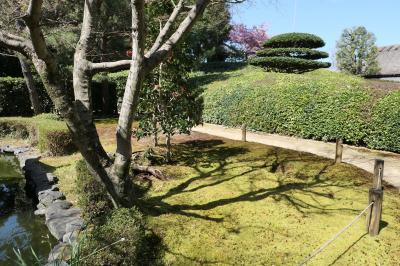 春のいざいざ奈良旅♪　Vol.195　大和郡山市：美しい庭園「慈光院」♪